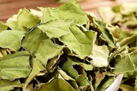 喝荷叶茶有什么好处？