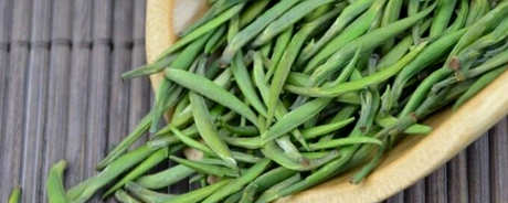 金山翠芽是绿茶吗？