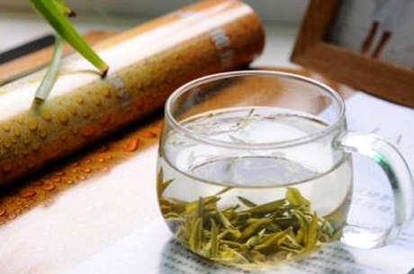 金山翠芽是绿茶吗？