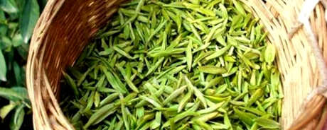 什么茶是蒙顶甘露？