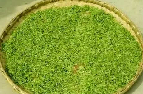 什么茶是蒙顶石花？