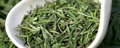 湄潭翠芽是什么茶？