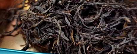 凤凰单丛是什么茶？