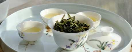 凤凰茶属于什么茶？