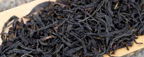 凤凰茶产地