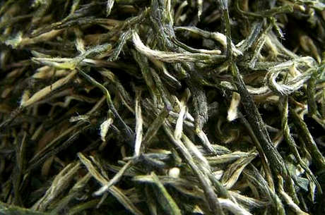 毛尖茶的产地在哪里？