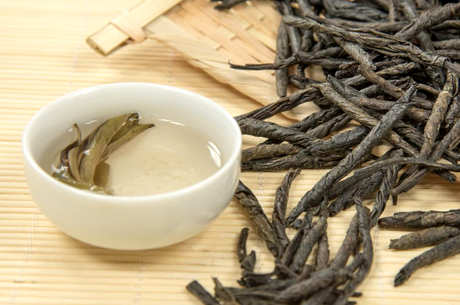 苦丁茶的产地在哪里？