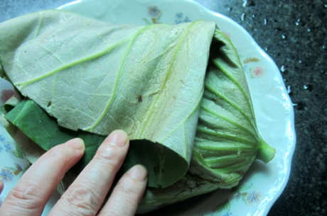 如何制作荷叶茶？