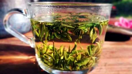 舒城小兰花属于什么茶？