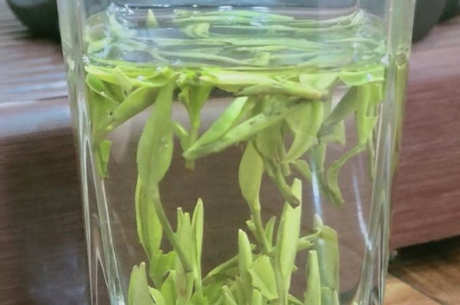 午子仙毫和雀舌的区别