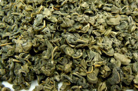 什么茶是珠茶？