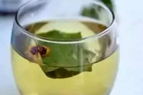 怎样喝荷叶茶？