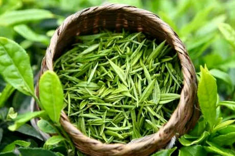贵州茶有哪些？