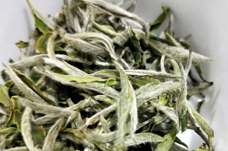 茶叶中的绒毛是什么？