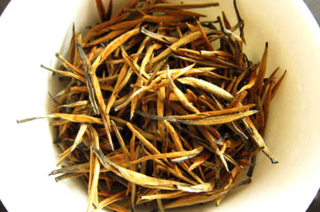 什么是金针茶？