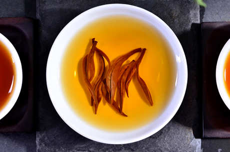 什么是金针茶？
