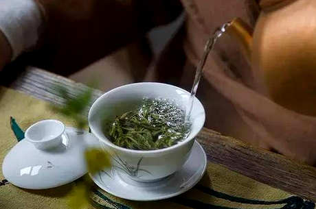 什么是双井茶？