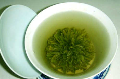 江山绿牡丹茶属于什么茶？