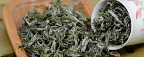 什么茶是雪芽？