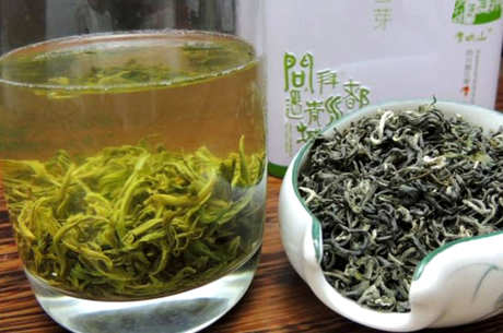什么茶是雪芽？