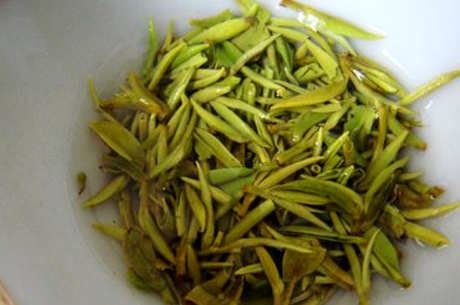 什么茶是雪芽？
