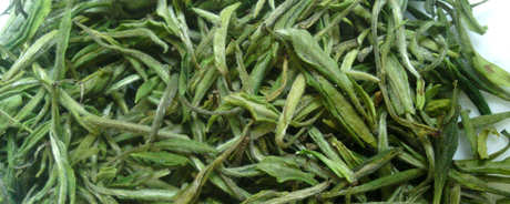 云雾茶属于什么茶？