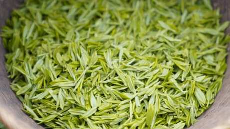 千岛玉叶是哪里的茶？