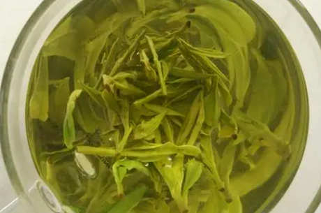 千岛玉叶是哪里的茶？