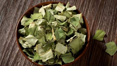 荷叶茶能天天喝吗？