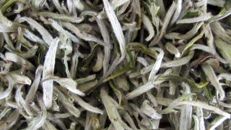 松阳香茶和松阳银猴的区别