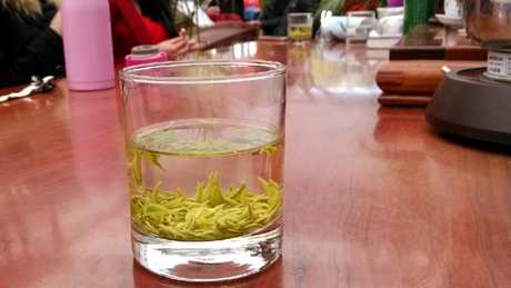 雁荡毛峰属于什么茶？