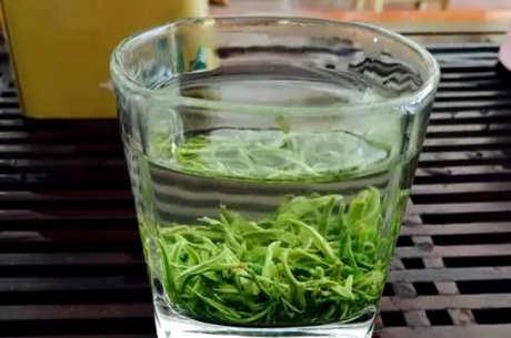 雁荡毛峰属于什么茶？