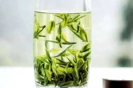 雁荡早茶是什么茶？
