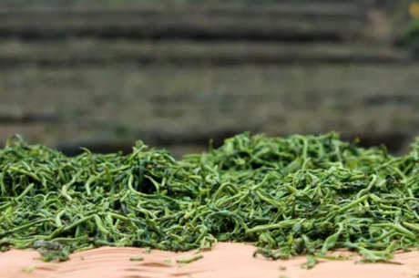 雁荡早茶是什么茶？