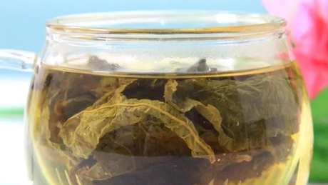 鹧鸪茶属于什么茶？