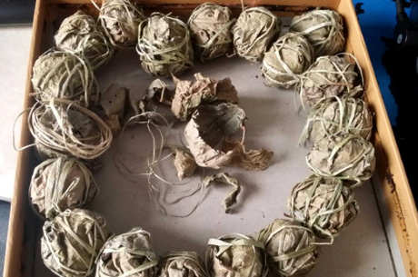 鹧鸪茶属于什么茶？