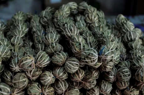 鹧鸪茶怎么喝？