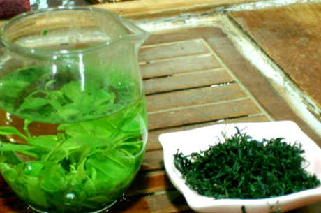 易县有哪些茶？