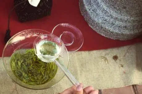 易县有哪些茶？