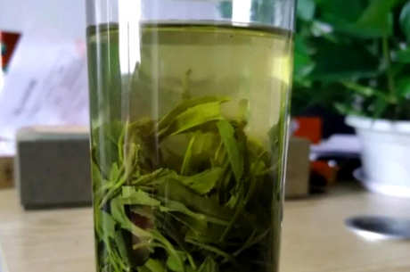 桂林毛尖茶属于什么茶？