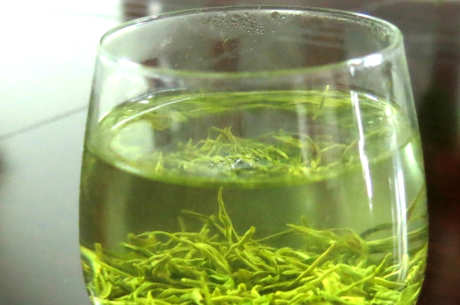 桂林毛尖茶属于什么茶？