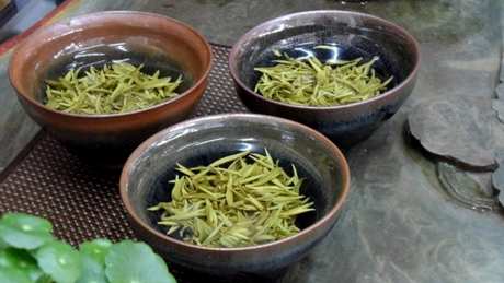 庐山云雾茶属于什么茶？