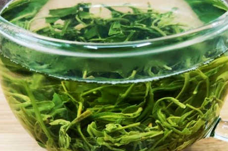 庐山云雾茶属于什么茶？