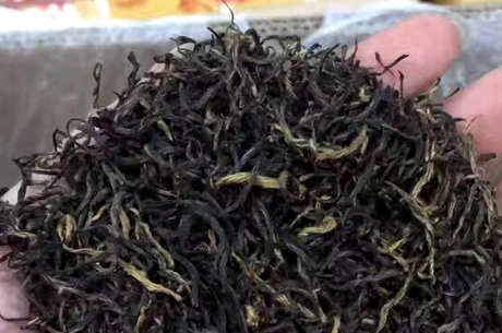 银骏眉是什么茶？