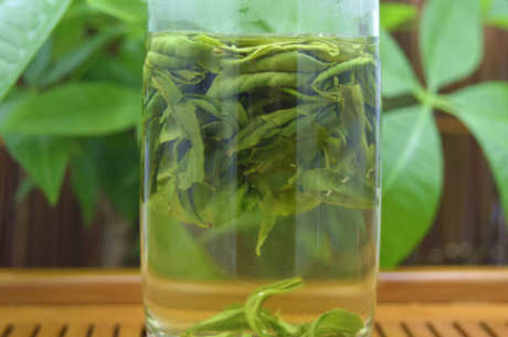 安徽绿茶有哪些品种？