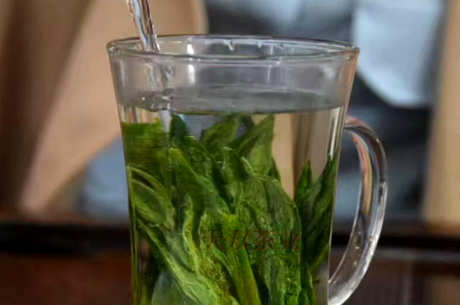 什么茶属于太平猴魁？