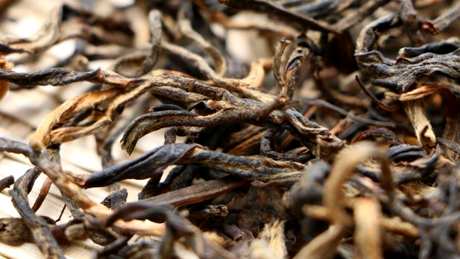 野生红茶是高档茶吗？