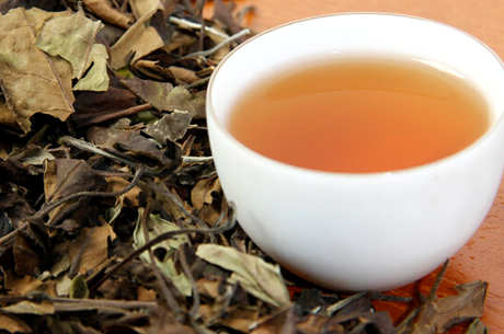 什么季节适合福鼎白茶？