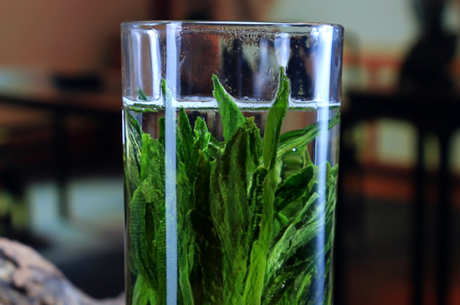 太平猴魁属于绿茶吗？