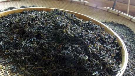 什么是红茶？